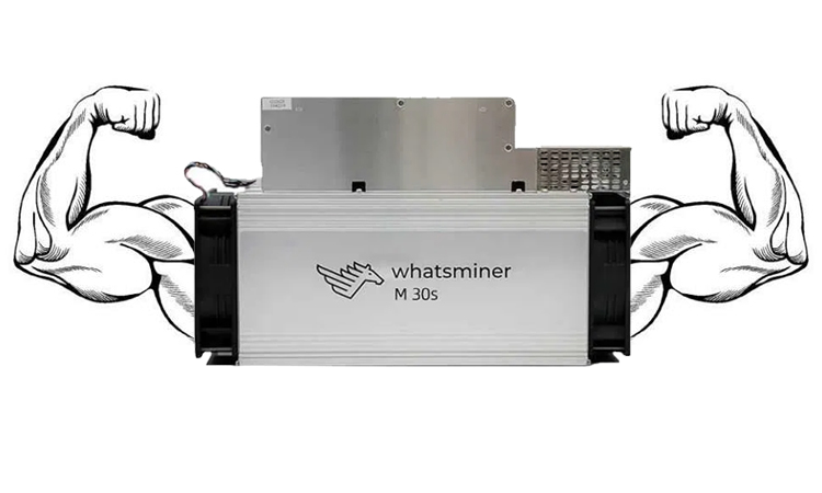 Три поради щодо обслуговування для стабільної роботи WhatsMiner