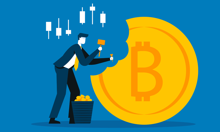 Історія Bitmain